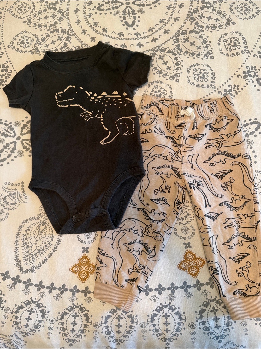 Dinosaur Baby Bodysuit & Pants Set - 18 Months